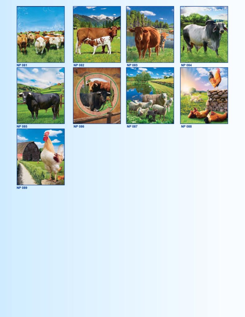 CATALOGO-CALENDARIOS-MGN-9